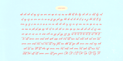 Akmelyn Beridge Font Poster 14