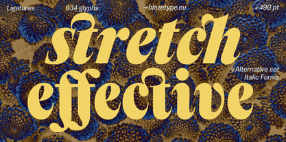 Lyst Variable Font Poster 11