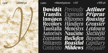 Lyst Variable Font Poster 9