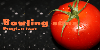 Bowling sans Font Poster 1