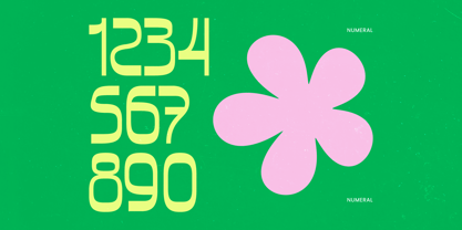 Bonfade Display Font Poster 10