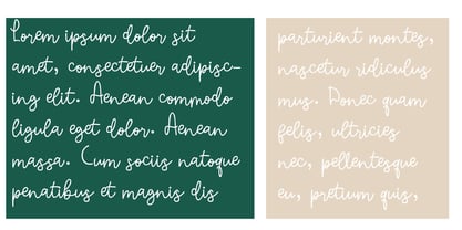 ZP Moonflower Font Poster 7