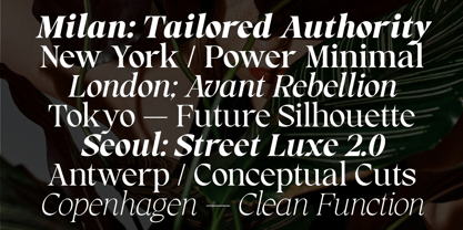 RCL Prime Serif Font Poster 9