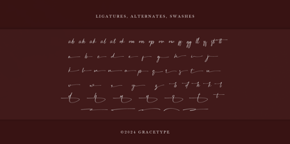 Sesillion Font Poster 12