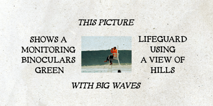 Organic Grain Font Poster 8