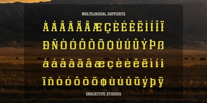 Dupreh Forge Font Poster 11