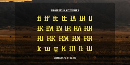 Dupreh Forge Font Poster 12