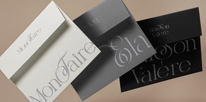 Selora Font Poster 7