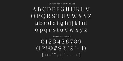 Veloria Font Poster 5