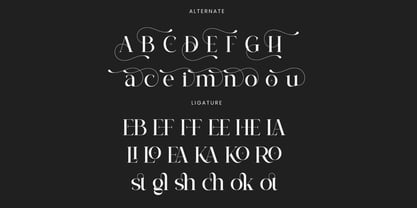 Veloria Font Poster 6
