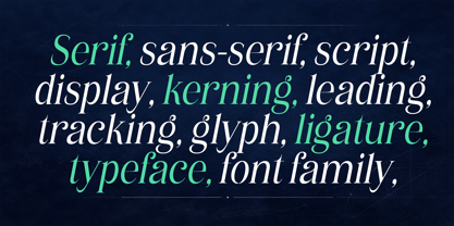 Eritza Font Poster 12