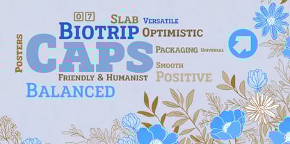 Biotrip Serif Caps Font Poster 6