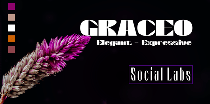 Graceo Font Poster 9