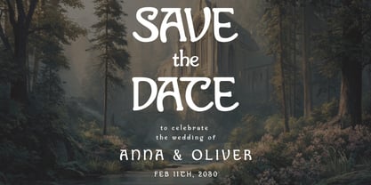 Chapman House Font Poster 4