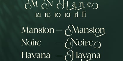 Margline Font Poster 4