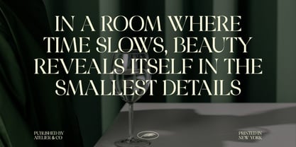 Margline Font Poster 5