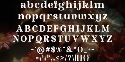 Avolta Font Poster 2