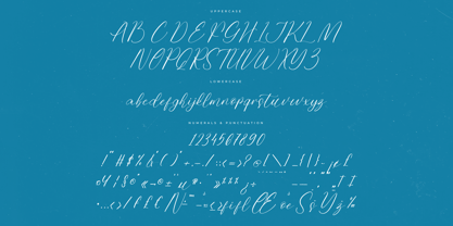 Homestay Winter Font Poster 7