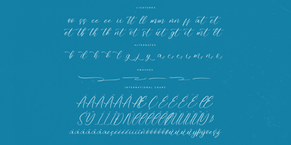 Homestay Winter Font Poster 8