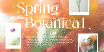 Nokua Font Poster 4