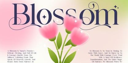Nokua Font Poster 3
