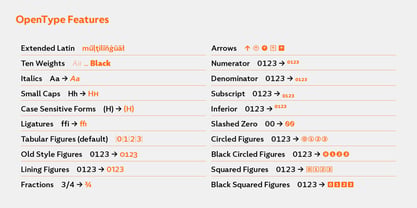 Foliant Sans Font Poster 13