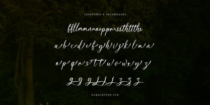 Kartaliaw Mimohasa Font Poster 12