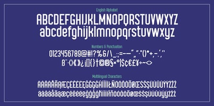 Trackline Font Poster 3