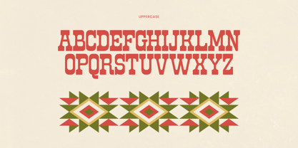 Rodeo Drinks Font Poster 5