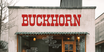 Rodeo Drinks Font Poster 4