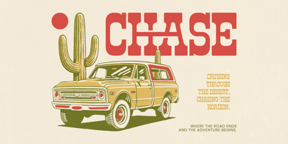 Rodeo Drinks Font Poster 14