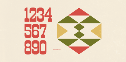 Rodeo Drinks Font Poster 12