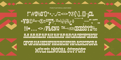 Rodeo Drinks Font Poster 15