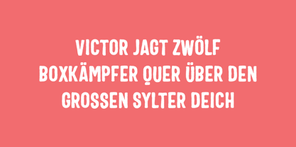 Valeron Otter Font Poster 10