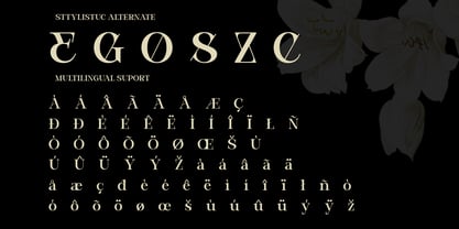 Bevola Font Poster 10
