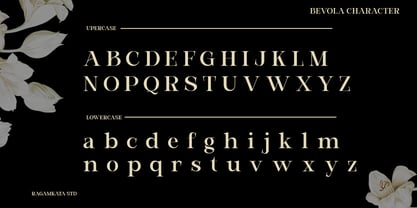 Bevola Font Poster 9