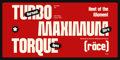 Guaro Font Poster 3