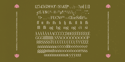 Bagvan Anstic Font Poster 15