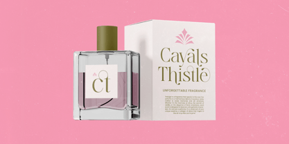 Bagvan Anstic Font Poster 10