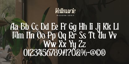 Vellmarie Font Poster 6