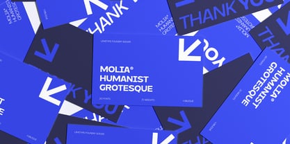Molia Oblique Font Poster 12
