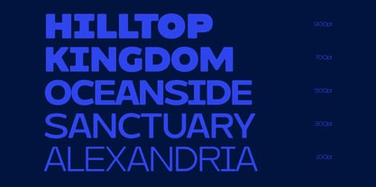 Molia Oblique Font Poster 8