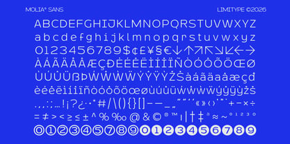 Molia Oblique Font Poster 11