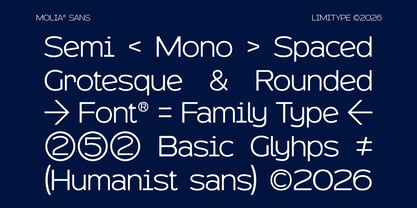 Molia Oblique Font Poster 7