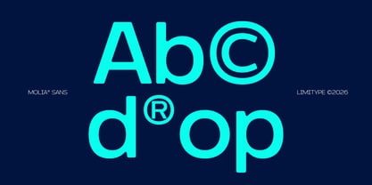 Molia Oblique Font Poster 4