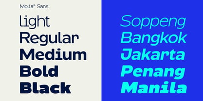 Molia Oblique Font Poster 6