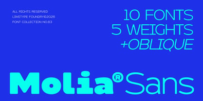 Molia Oblique Font Poster 1