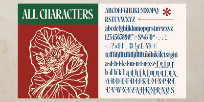 Maristores Font Poster 11