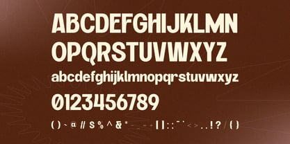 Velora Bloom Font Poster 8