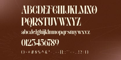 Velora Bloom Font Poster 9